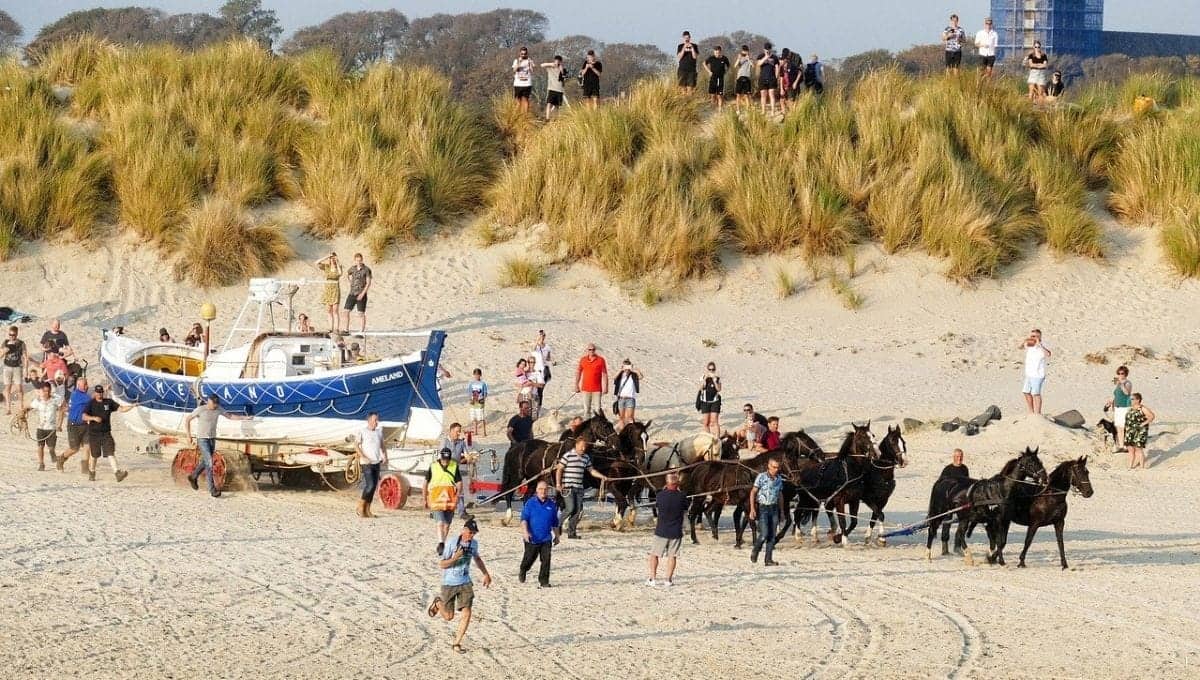 Overnachten op Ameland1