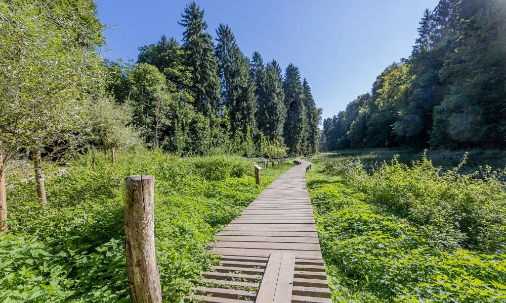 Overnachten in Waldbillig, Müllerthal, Luxemburg