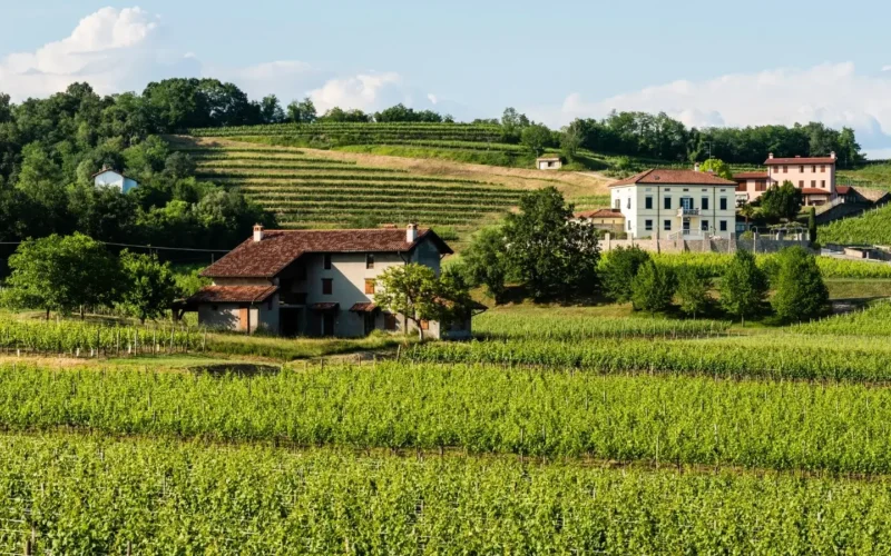 De leukste agriturismo's in Noord Italië